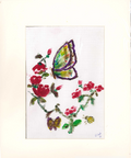 Nature Paintings from our Community